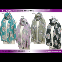 �X�J�����t�����[���X�g�[��