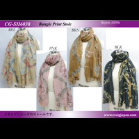 �X�J�[�t���o���O���v�����g�X�g�[��