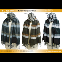 �{�[�_�[�W���K�[�h�X�g�[��