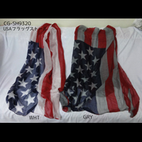 USA�t���b�O�X�g�[��