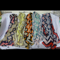 �L�������X�g�[��