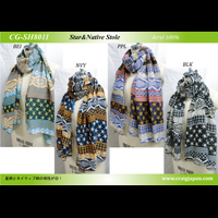 �����l�C�e�B�u���X�g�[��