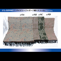 �y�C�Y���[�W���K�[�h�D��X�g�[��