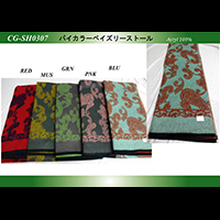 �o�C�J���[�y�C�Y���[�X�g�[��