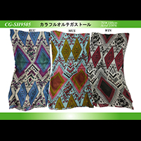 �J���t���I���e�K�X�g�[��