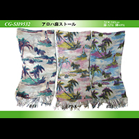 �A���n���X�g�[��