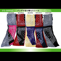 �o���_�i�؂�ւ��X�g�[��