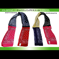 �N���C�W�[�o���_�i�X�g�[��