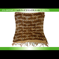 ���I�p�[�h�t�����W�X�g�[��