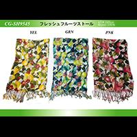 �t���b�V���t���[�c�X�g�[��