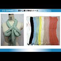 �������D�薳�n�X�g�[��