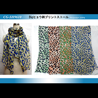 Big�q���E���v�����g�X�g�[��