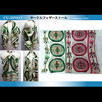 �T�[�N���t�F�U�[�X�g�[��