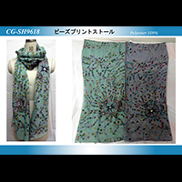 �r�[�Y�v�����g�X�g�[��