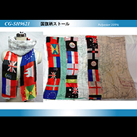 �������X�g�[��