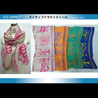 �l�C�e�B�u�C���X�g�X�g�[��