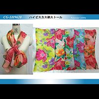 �n�C�r�X�J�X���X�g�[��