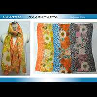 �T���t�����[�X�g�[��