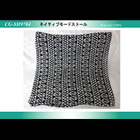 �l�C�e�B�u���[�h�X�g�[��