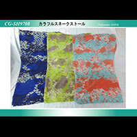 �J���t���X�l�[�N�X�g�[��