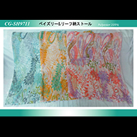 �y�C�Y���[�����[�t���X�g�[��