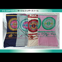 �T�[�N���t�F�U�[�X�g�[��